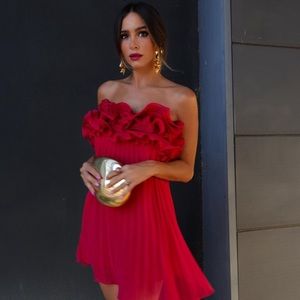 Zara Pleated Ruffle Mini Dress